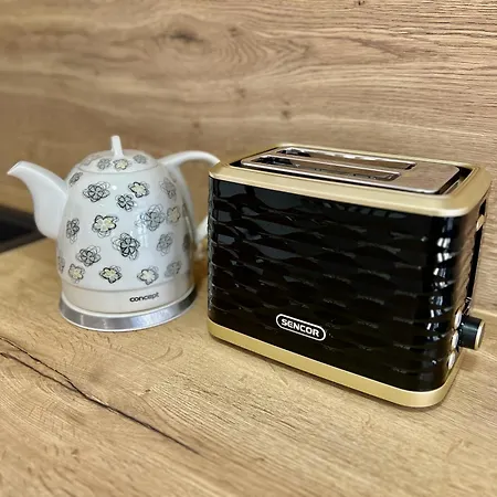 Appartement Black Lotus 3 I 24hr Self Check-in I Centre I Free Parking Banská Bystrica